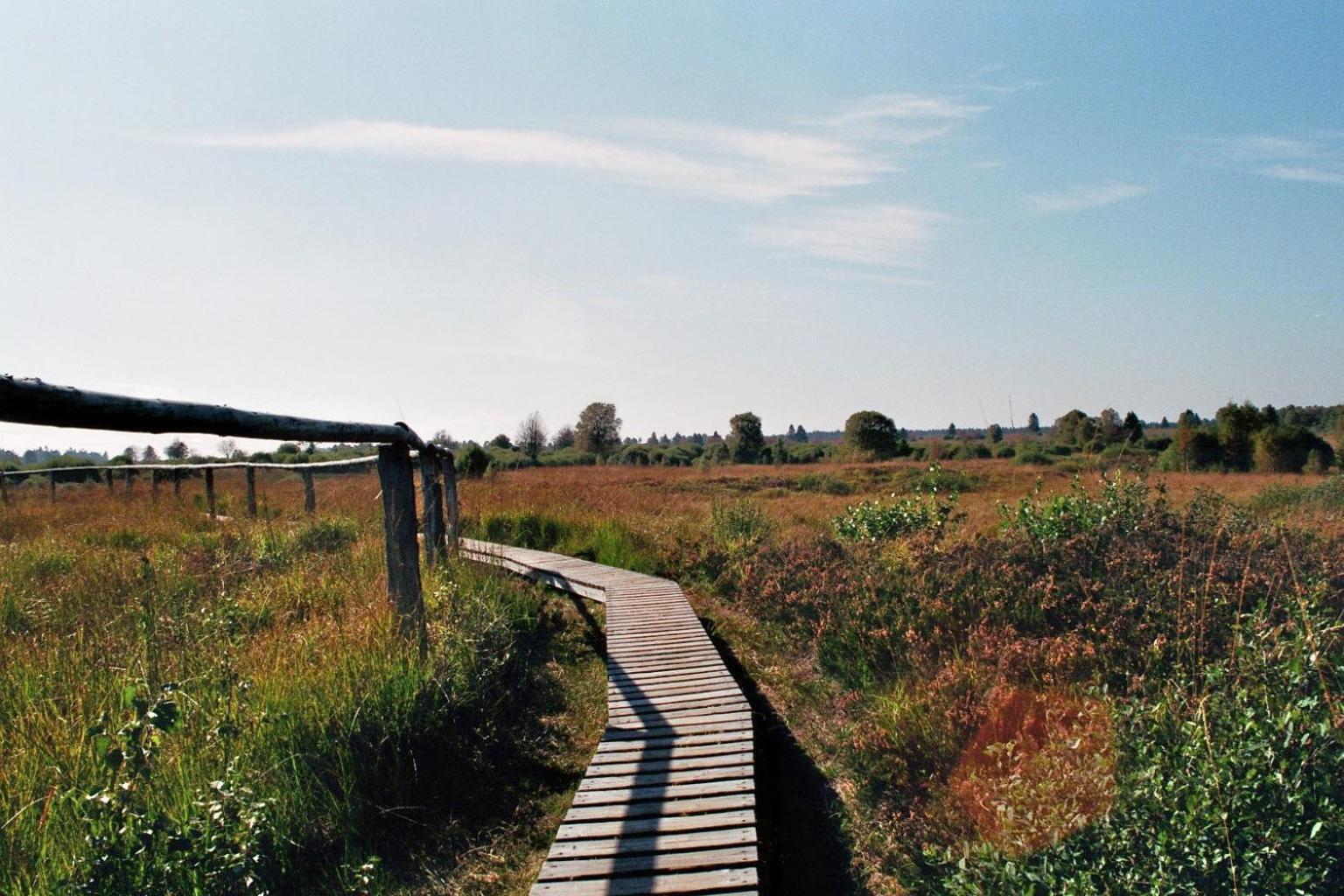 Zum Alten Landrat Montjoie Extérieur photo